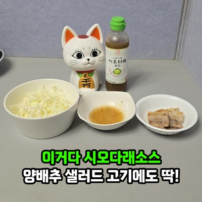 이거다 시오다래소스 양배추 샐러드, 고기에도 딱! 소금 후추 소스