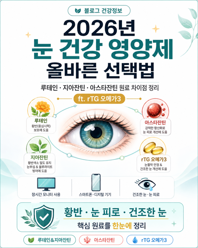 [2026] 눈 영양제 루테인 지아잔틴 아스타잔틴 차이점 및 rTG오메가3 조합 꿀팁