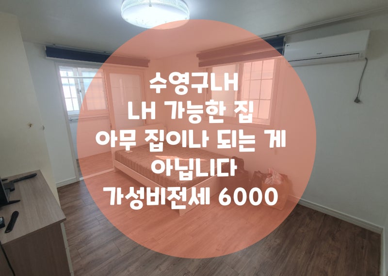 수영LH 망미LH | LH 가능한 집 아무 집이나 되는 게 아닙니다가성비전세 6000 |