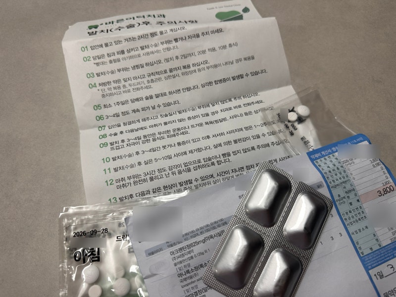 임신 준비 중 사랑니 발치 후기, 30대 반매복 사랑니 처방약과 비용 주의사항