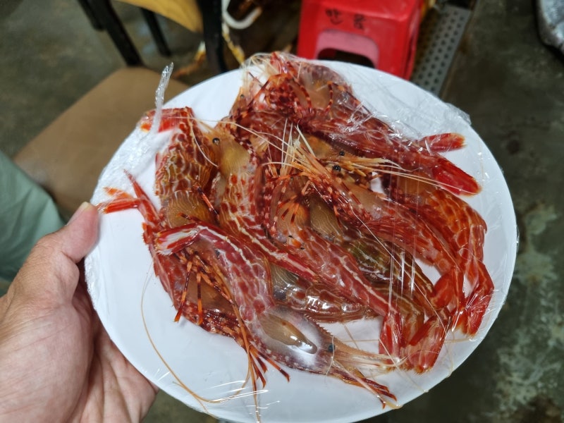 [울릉도맛집④] 울릉오징어회타운 독도새우(도화새우);만금물산,강릉수산,갯바위식당(울릉....