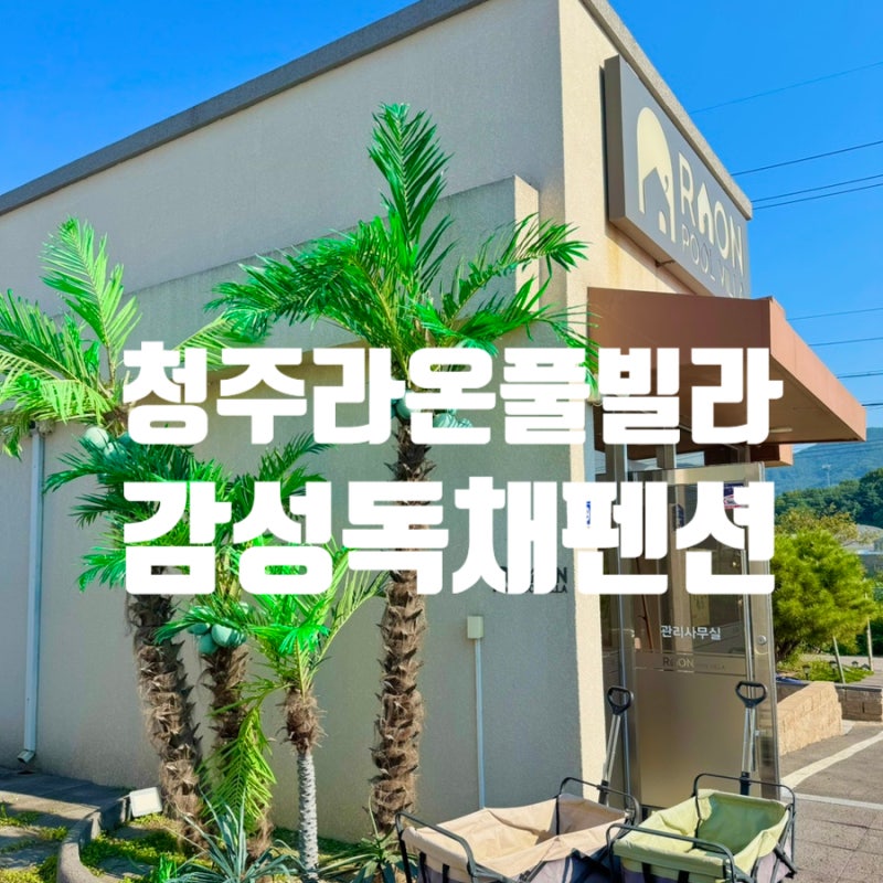 청주 라온풀빌라 아이와 다녀온 생일 여행, 독채 수영장 감성 숙소