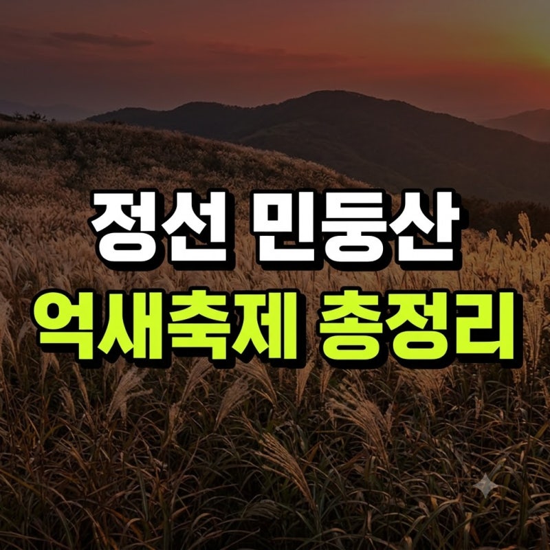 정선 민둥산 억새축제 기간 주차 셔틀버스 총정리(+일정 최단코스 가수 주차장 발구덕 시기 ....