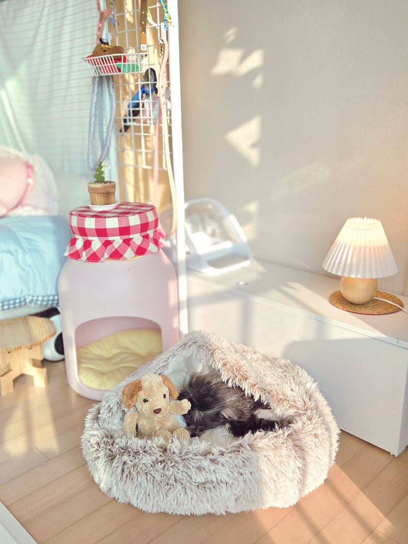 강아지방석 추천 ✨ 포근한 코지 마약방석 L사이즈로 겨울 준비 끝!
