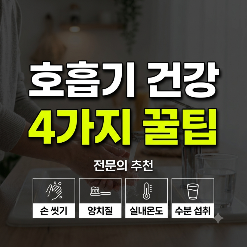 가수 김혜연 코 성형 부작용 고백과 비중격 만곡증 축농증 수술 실비 적용 기준 정리최근 연....
