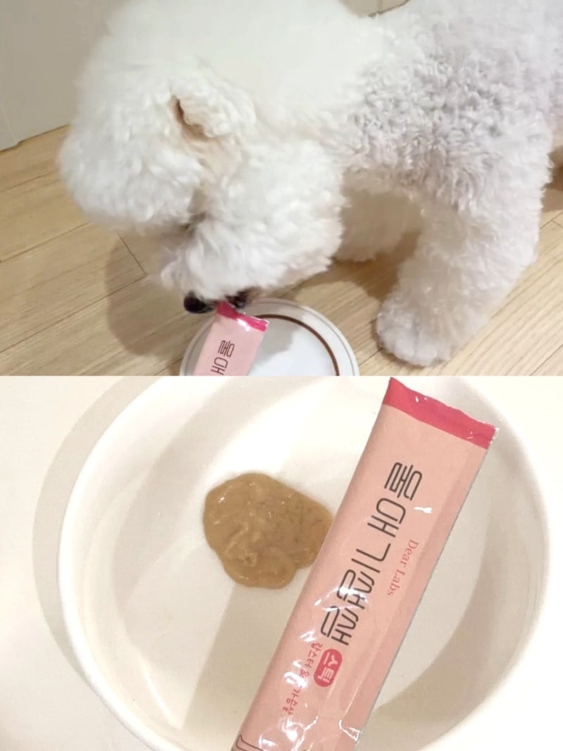 울애기쌩쌩 스틱 고양이 종합영양제 추천& 강아지 울애기쌩쌩 복용 후기
