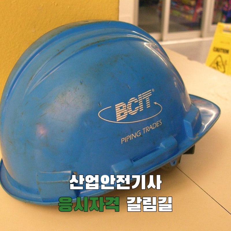 산업안전기사 응시자격, 경력·학력 중 내 경로는 어디에 해당할까?