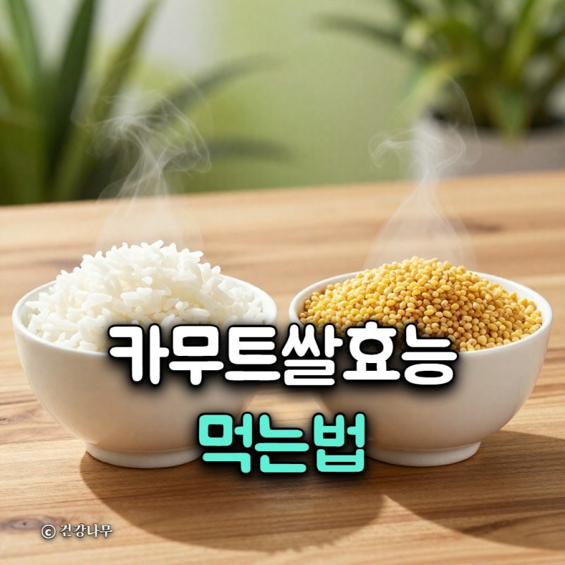 카무트쌀 효능 먹는법, 흰쌀보다 혈당 덜 오를까?