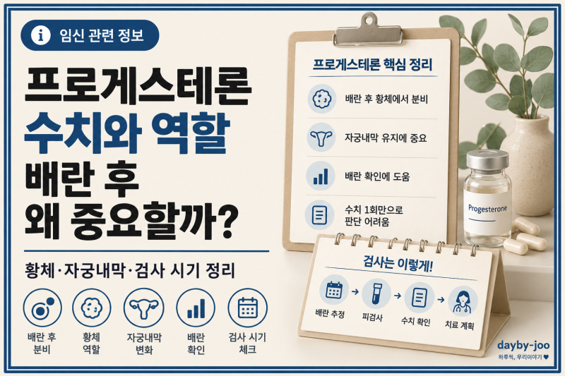 프로게스테론 수치와 역할｜배란 후 왜 중요할까? 검사 시기까지 정리