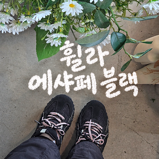 최강 발볼러의 신발 추천 | 휠라 에샤페 블랙 250 착용 후기
