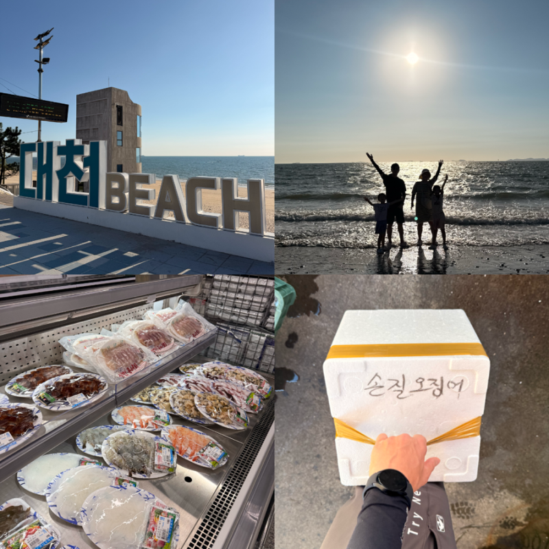 대천 당일치기 여행코스 / 2번 방문한 대천항 가을 꽃게&오징어 포장 후기 (한나수산) / 농협....