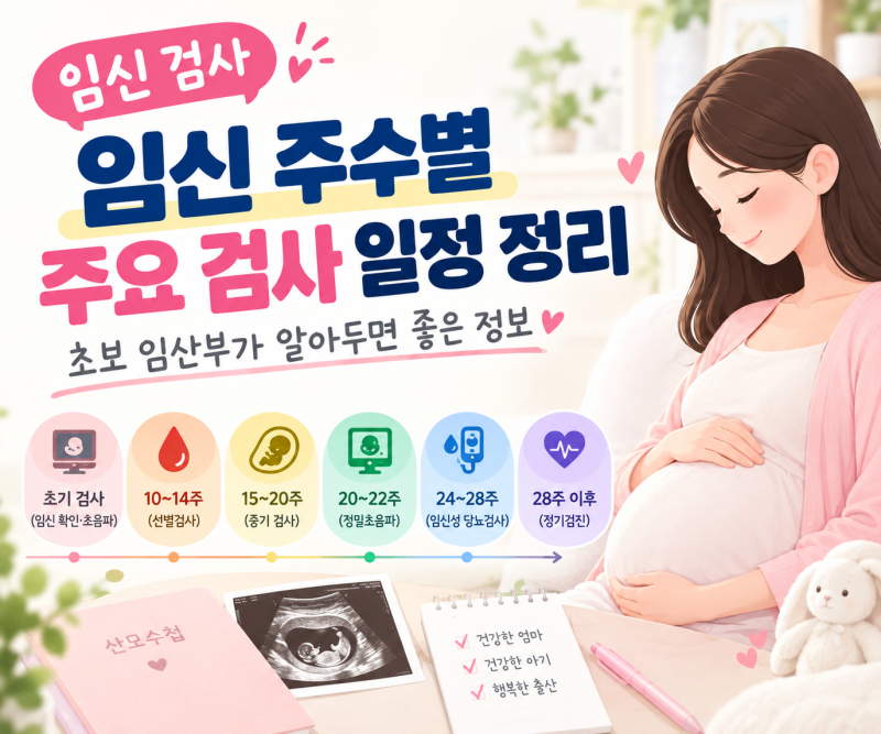 임신 중 어떤 검사를 언제 받을까? 주수별 산전검사 한눈에 알아보기