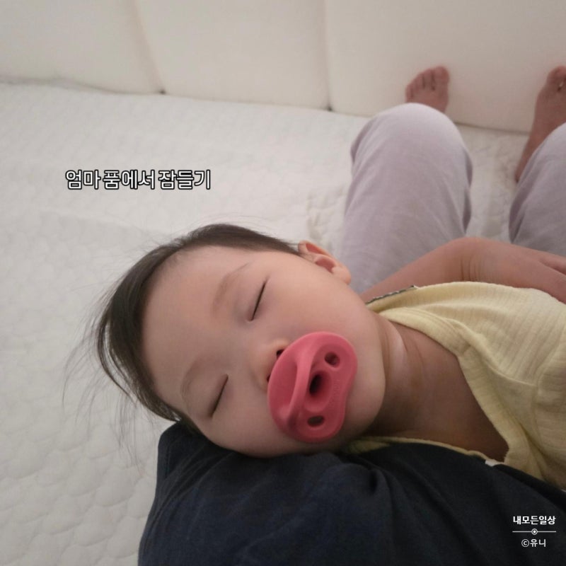 10개월 아기 하루 일과표｜이유식 3끼 스케줄 이유식 양+낮잠 2번 총 낮잠 시간