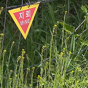 [파주 DMZ 북한 지뢰, 합동조사 뒤 무엇이 달라졌나?] 강신철 국방장관 "북한 정전협정 위반, ....