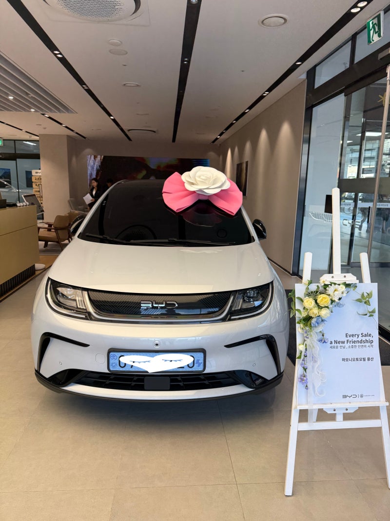 BYD 돌핀 출고했습니다