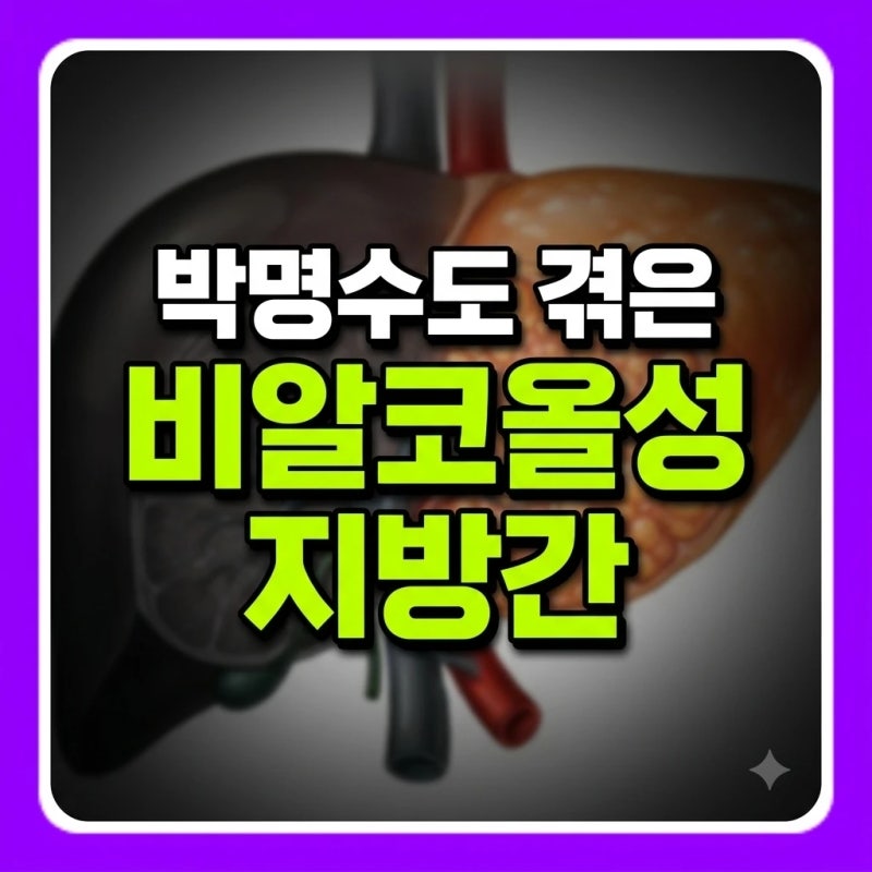 술 안 마셔도 간에 기름이? 박명수도 겪은 비알코올성 지방간, 핵심 원인 5가지와 감량 식단 ....
