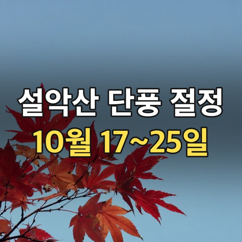26년 설악산 단풍 절정 날짜, 개천절·한글날 연휴엔 어디까지 물들까