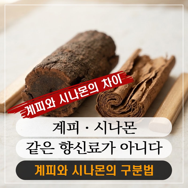 계피와 시나몬의 차이를 아시나요? 육안으로 구별하는 법