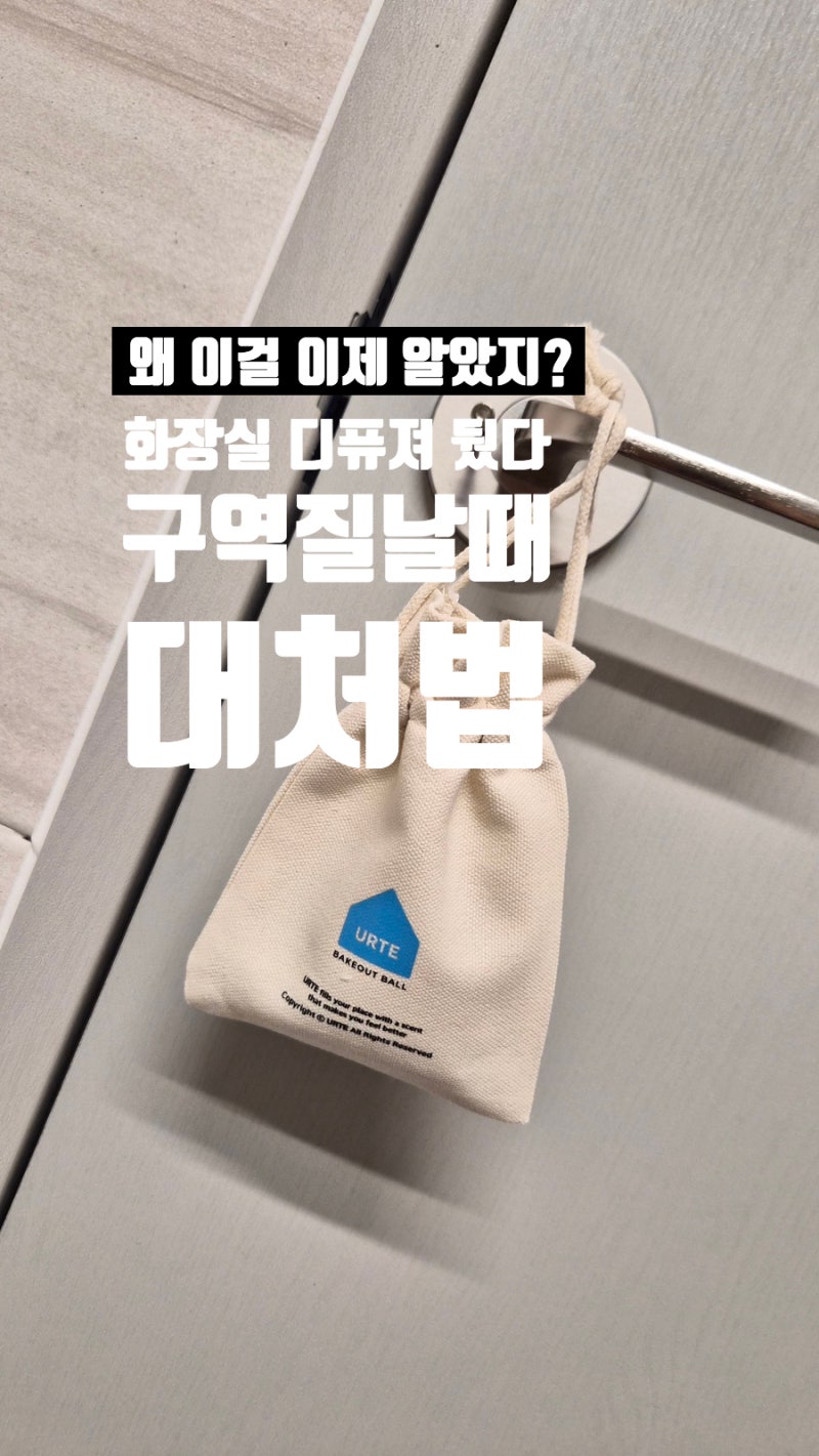 화장실 냄새 가리려고 디퓨저 뒀다가 냄새 섞여서 구역질 날때 대처법