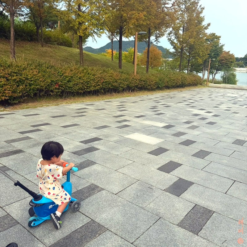 Cheongju Nearby Drive with Kids: Sejong Lake Park in Sejong City, Picnic Outing Spot Recommendation