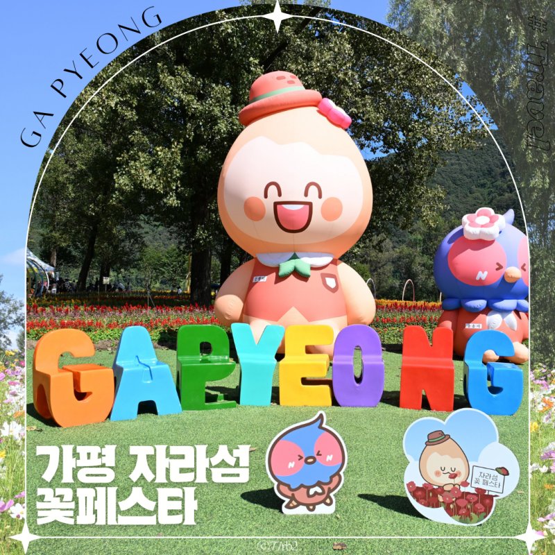 경기도 가평 가볼만한곳 자라섬 꽃축제 남도 꽃정원 가을나들이