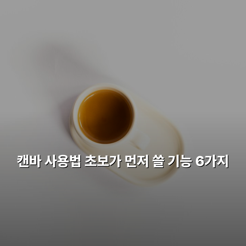 캔바 사용법 초보가 먼저 쓸 기능 6가지