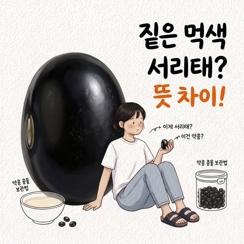 같은 검은콩인 줄 앎 서목태 서리태 뜻 차이 약콩 콩물 보관