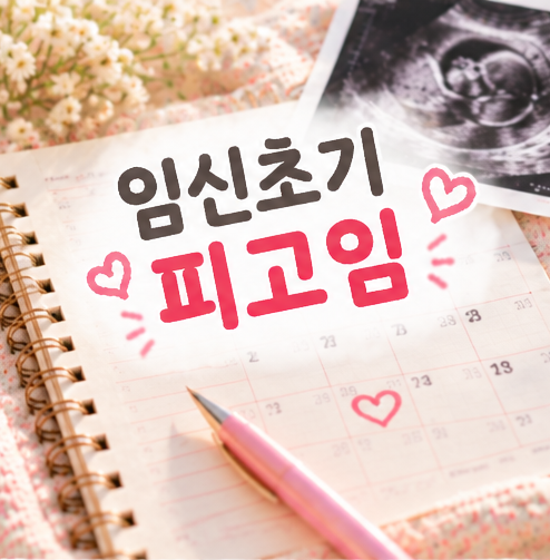 임신초기 피고임 증상 초음파 발견 하혈 위험 높아 입원 흡수 과정