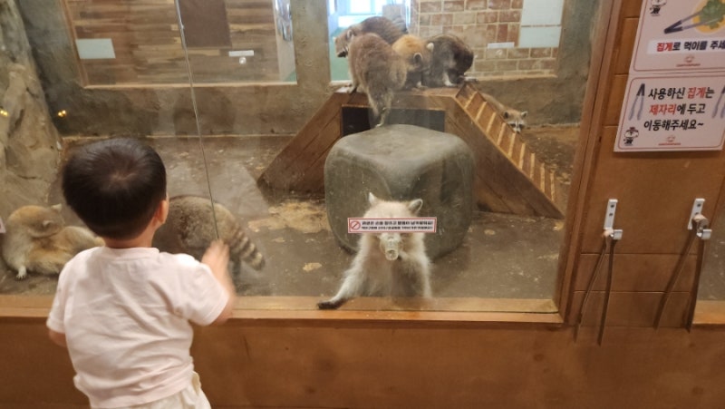 Recommended Ulsan Attractions for Kids: Indoor Zoo Canyon Park