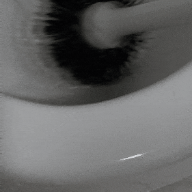 요석제거제 /변기청소/ 석회제거/이공이공 요석제거제