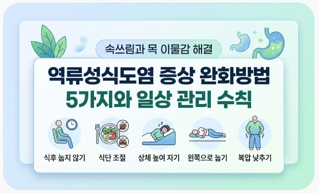역류성식도염 증상 완화방법 5가지와 일상 관리 수칙