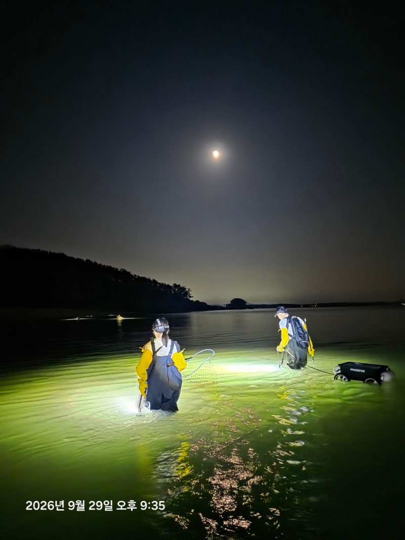 Taean Crab Foraging at Hwanggol Port: Secret Spot! Complete Guide to Entry, Parking, and Washing Facilities