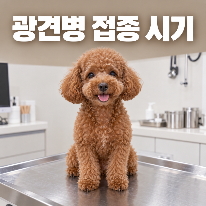 강아지 광견병 예방접종 시기와 비용, 가을 일제접종 기간에 맞추는 법과 접종 후 주의할 점