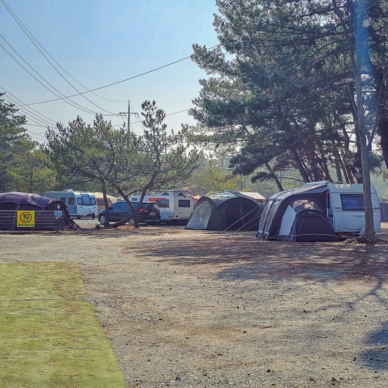 태안 캠핑장 추천, 오션뷰 캠핑장 5곳에서 즐기는 가을 캠핑