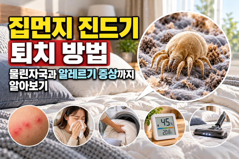 집먼지 진드기 퇴치 방법, 물린자국과 알레르기 증상까지 알아보기