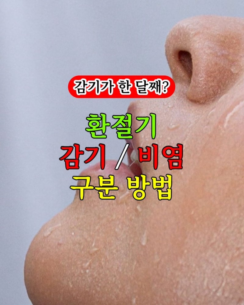 감기가 한 달째 안 낫는다? 환절기 심한 콧물과 재채기, 감기와 비염 구분 방법