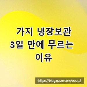 가지 냉장보관, 3일 만에 무르는 이유