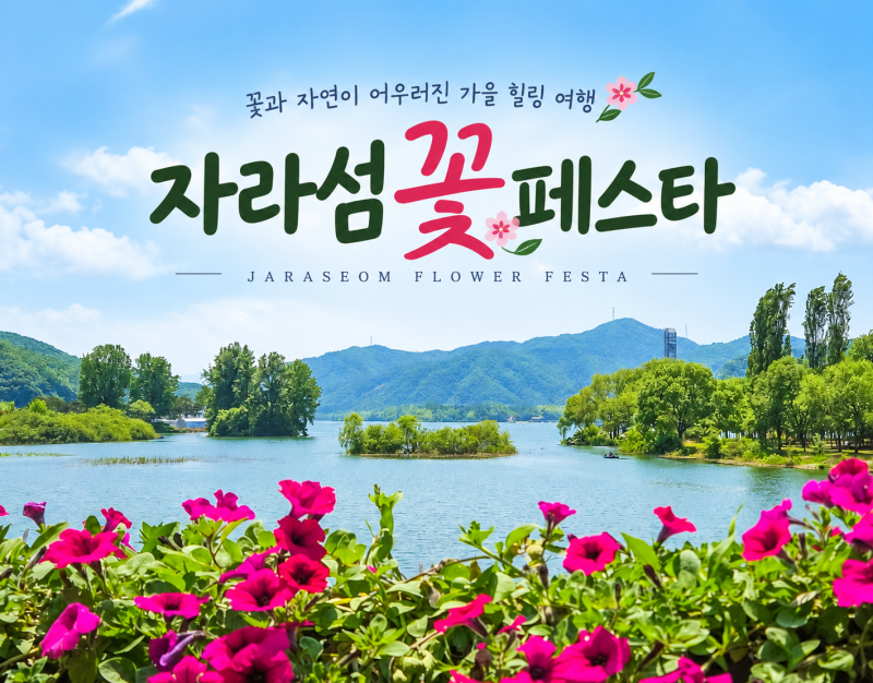2026 가평 자라섬 꽃축제, 가을 꽃 페스타 주차·입장료·포토존 총정리