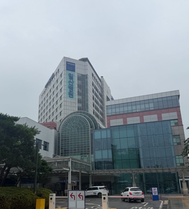 일산병원 니프티 예약 실패 → 당일예약 검사 후기, 결과조회 후 젠더리빌까지!