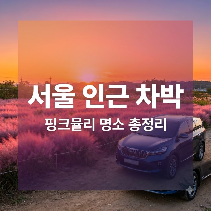 서울 인근 차박으로 핑크뮬리 구경하기 좋은 곳과 주의사항