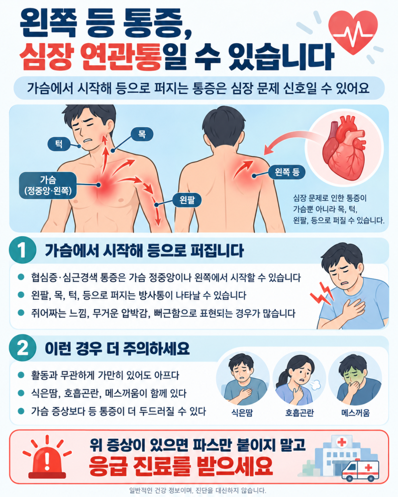 왼쪽 등 통증, 근육통이라고 넘기기 전에 심장부터 확인해야 하는 경우