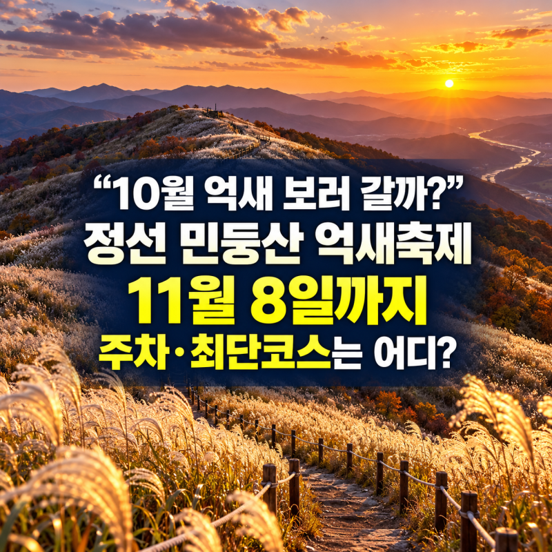 “10월 억새 보러 갈까?”…정선 민둥산 억새축제 기간 11월 8일까지, 주차·최단코스는 어디?