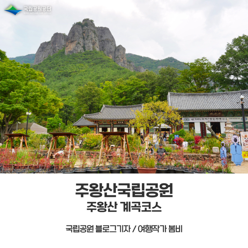 [주왕산국립공원] 가을에는 꼭 가봐야 할 무장애길, 주왕산 계곡코스