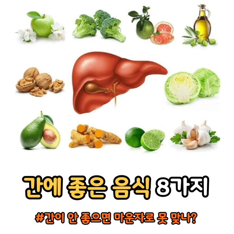 간에 좋은 음식 8가지, 의외로 이것도? 마운자로 알아보던 지인이 들은 뜻밖의 이야기