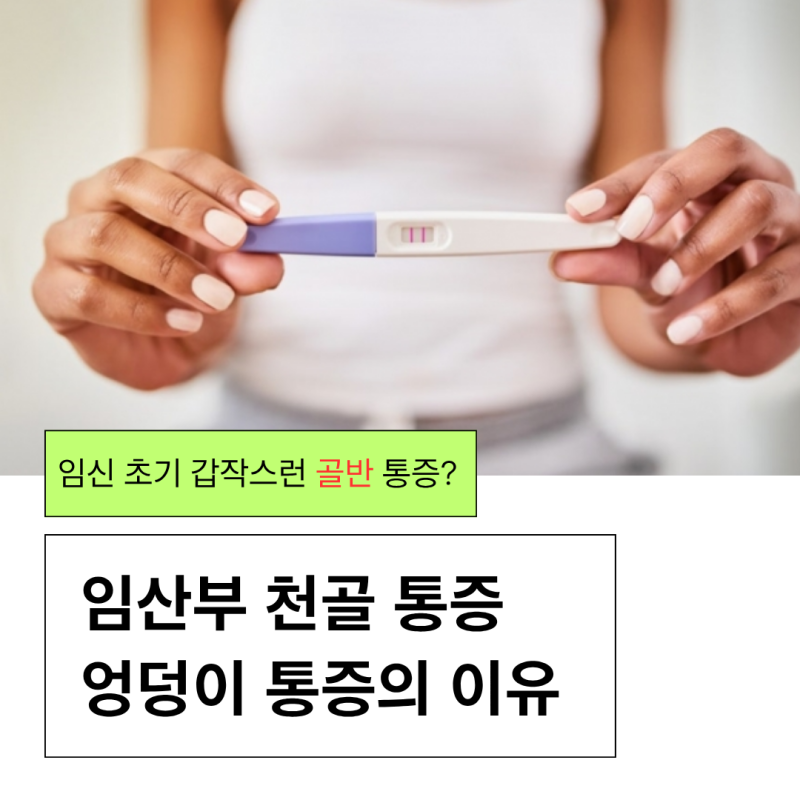 임신 초기 임산부 골반 허리 천골 엉치 통증 이유가 뭘까