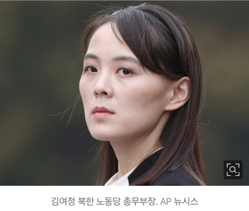김여정, DMZ 지뢰 폭발사고 전면 부인.. “서울의 자작 광대극”