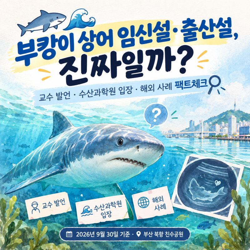부산 부캉이 임신설 출산설, 진짜일까? 부경대 교수 발언 및 수산과학원 입장과 해외 사례 팩....