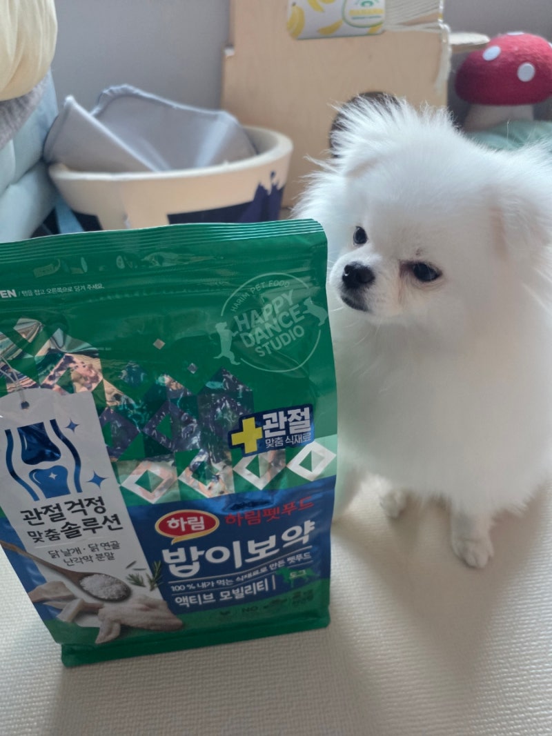 포메라니안 강아지 귀염둥이 우유의 새로운 밥이에요(하림펫푸드 밥이보약 액티브모빌리티 ....