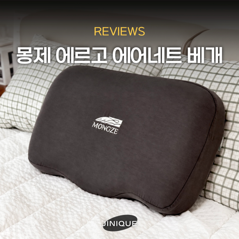 숙면 베개추천 물 세척 가능한 몽제 에르고 에어네트 사용 후기