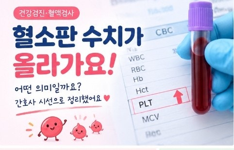 “혈소판이 높다고요?” 건강검진 결과에서 발견된 혈소판 수치 상승, 왜 생길까?